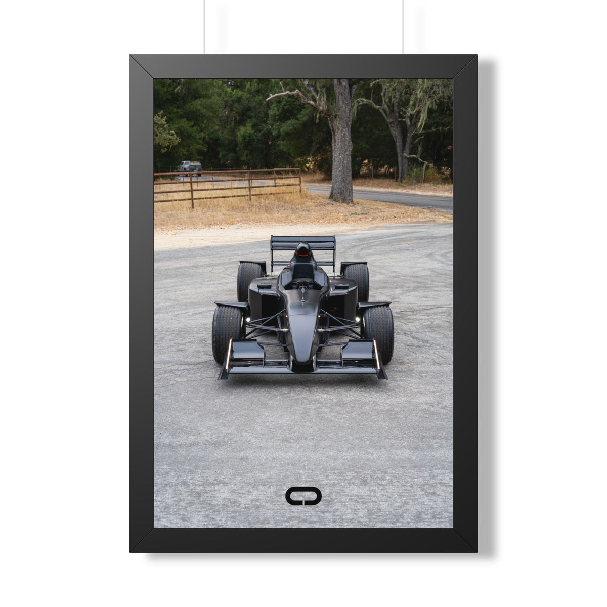 Framed Poster
